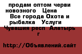 продам оптом черви новозного › Цена ­ 600 - Все города Охота и рыбалка » Услуги   . Чувашия респ.,Алатырь г.